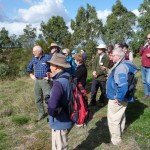 Looking at revegetation on the banks of Salt Creek from Leo's Track