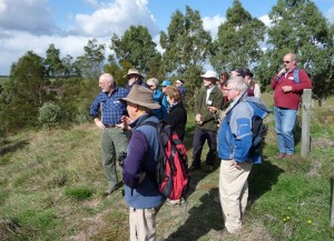 Looking at revegetation on the banks of Salt Creek from Leo's Track