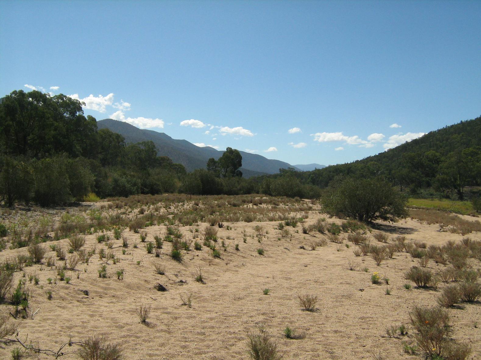 The sandy bank of the Snowy River just north of Suggan Buggan, Victoria.  2008 Drought